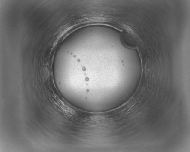 X0000052611212200507081837