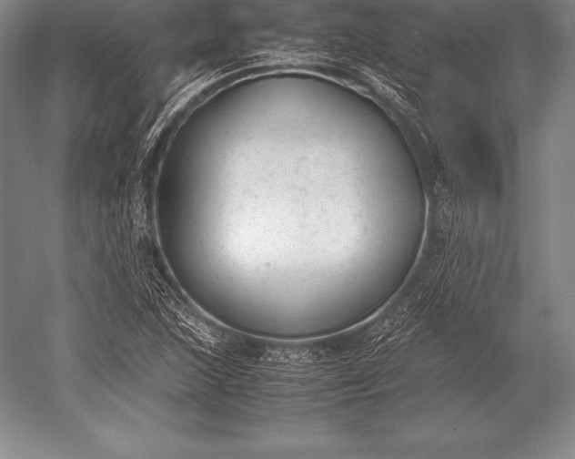 X0000052611215200507081837