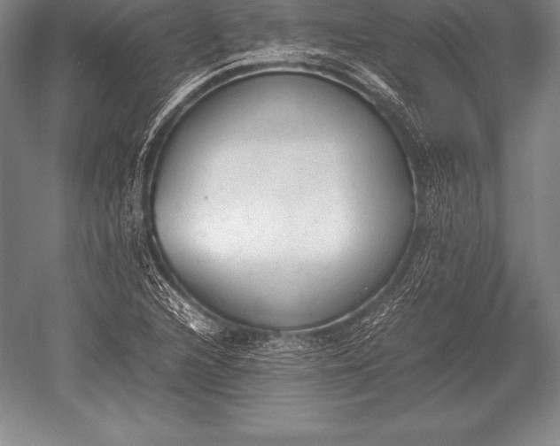 X0000052611216200507081838