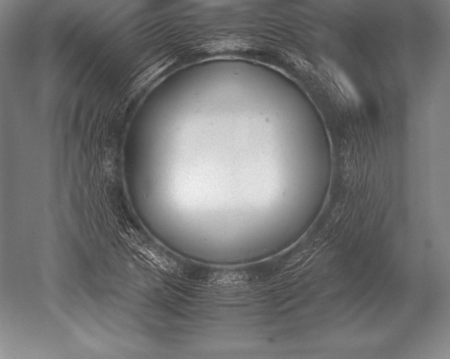 X0000052611217200507081838