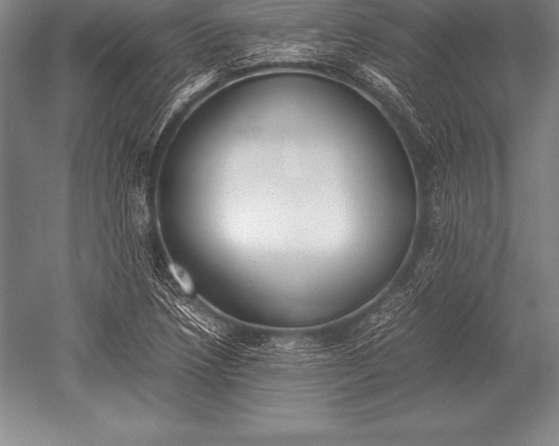 X0000052611218200507081838