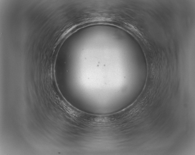 X0000052611220200507081838