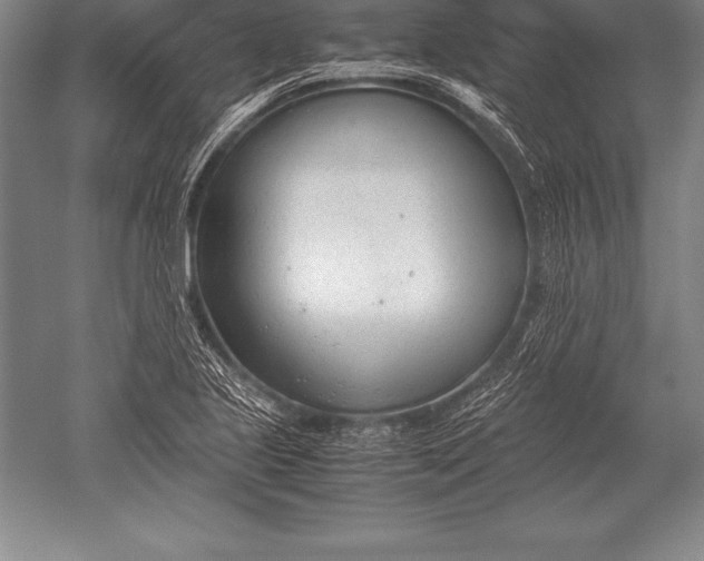 X0000052611221200507081838