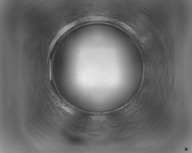 X0000052611223200507081838