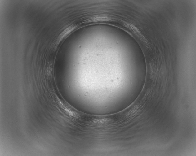 X0000052611225200507081838