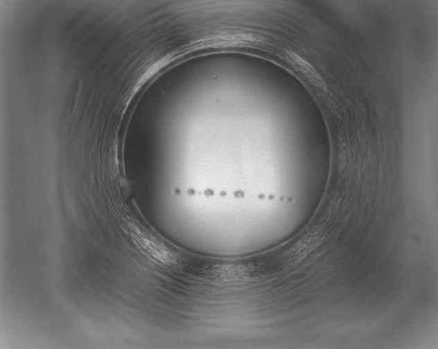 X0000052611226200507081838