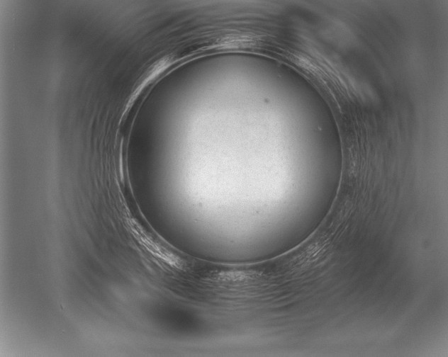 X0000052611227200507081838