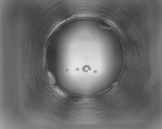 X0000052611228200507081838