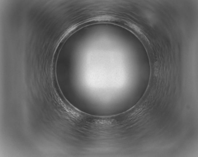 X0000052611229200507081838