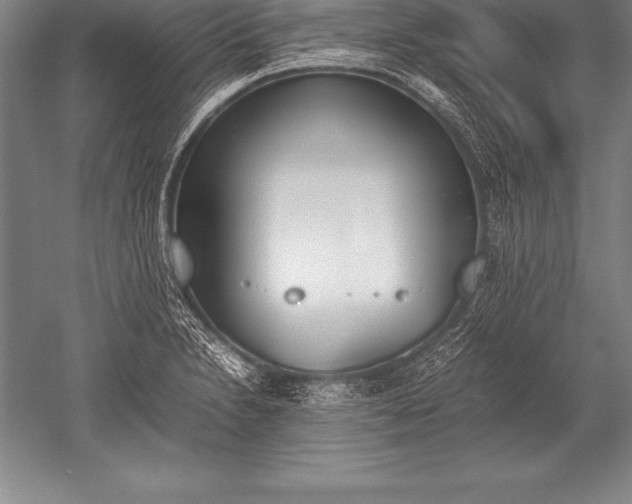 X0000052611230200507081838