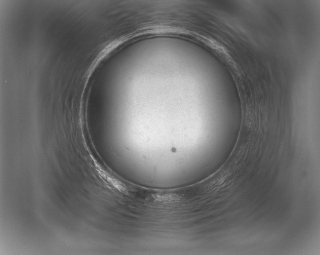 X0000052611231200507081838