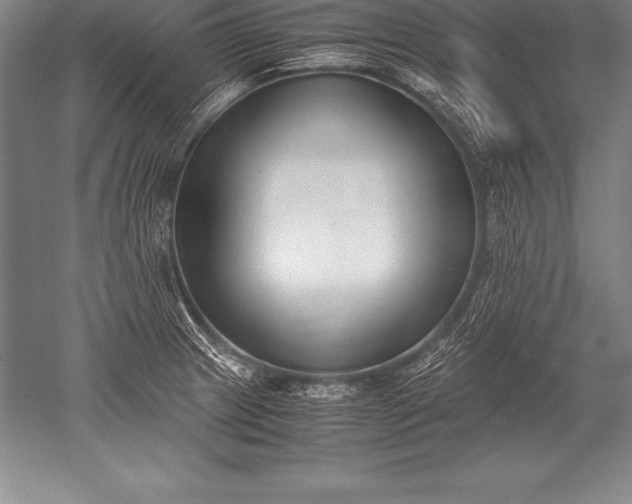 X0000052611233200507081838