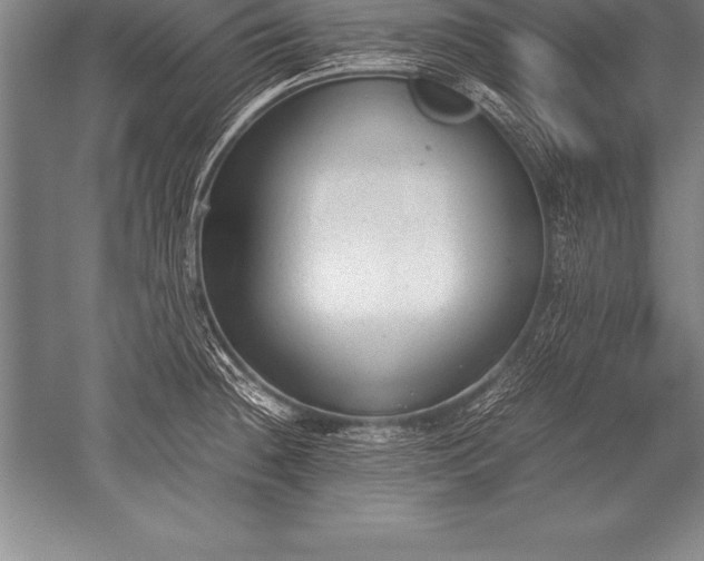 X0000052611236200507081838