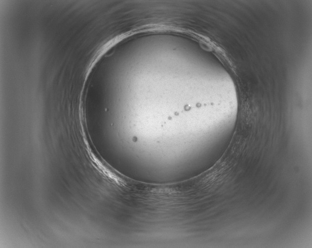 X0000052611239200507081838