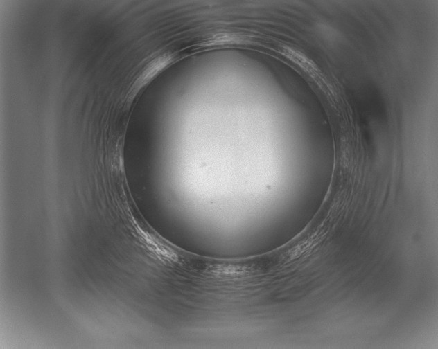 X0000052611241200507081838