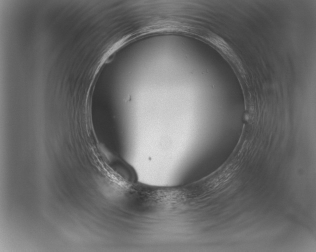 X0000052611242200507081838