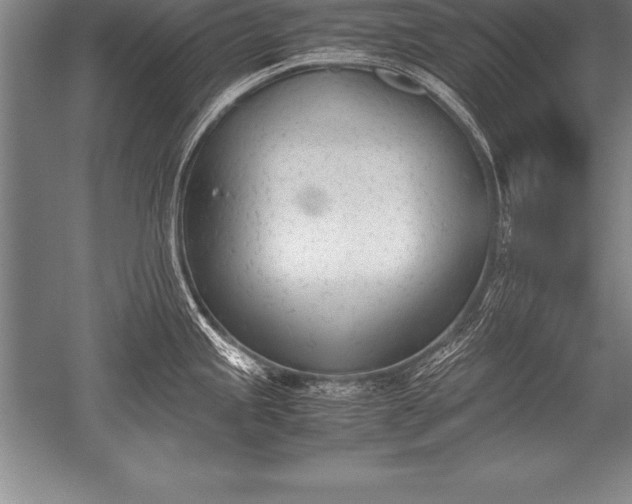 X0000052611245200507081838