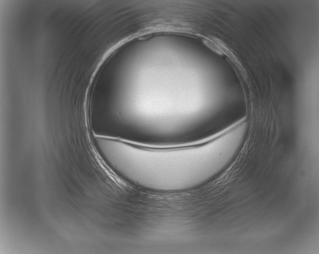 X0000052611246200507081838