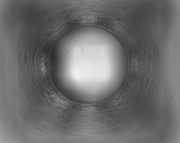 X0000052611250200507081837