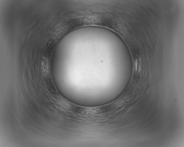 X0000052611251200507081837