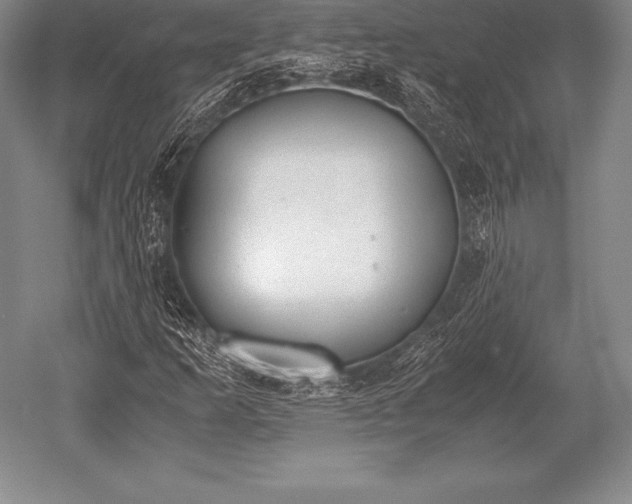 X0000052611253200507081837