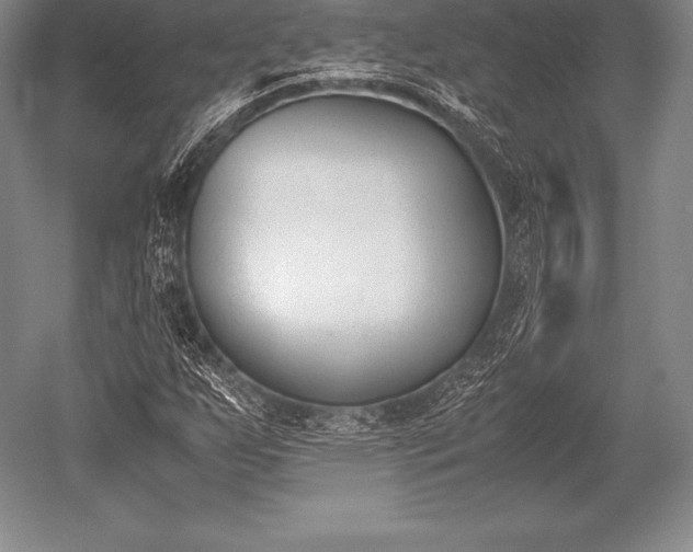 X0000052611255200507081837