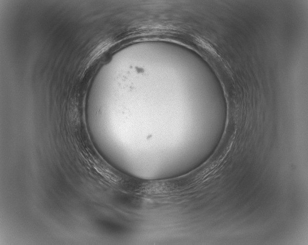 X0000052611259200507081837