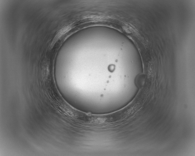 X0000052611261200507081837