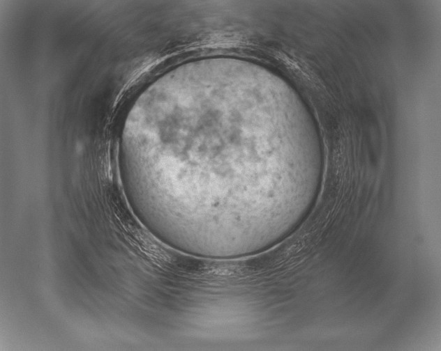 X0000052611262200507081837