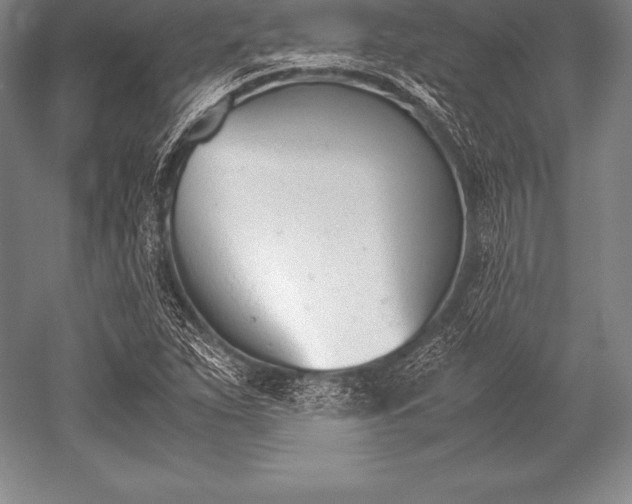 X0000052611263200507081837