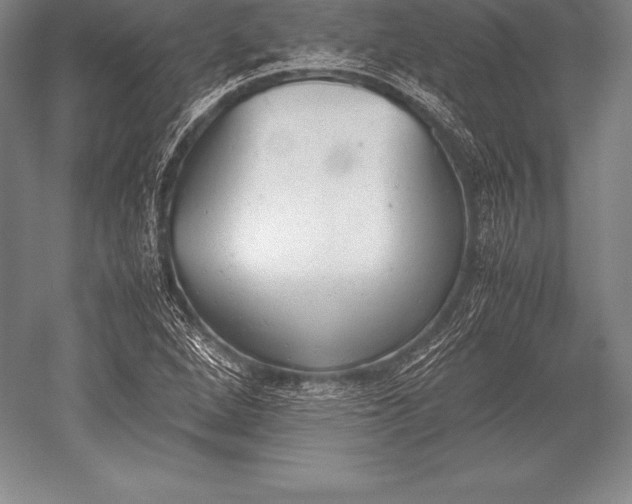 X0000052611264200507081837