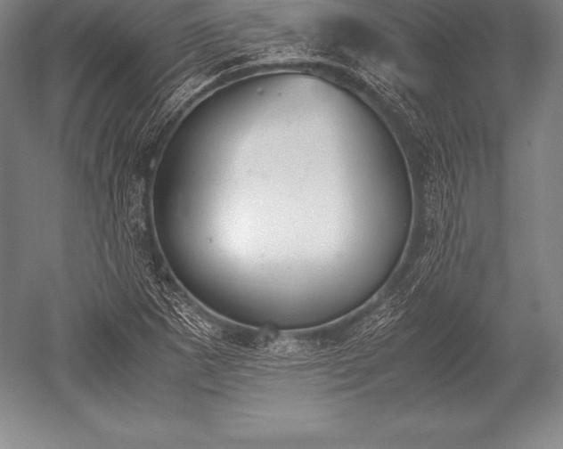 X0000052611265200507081837