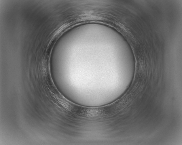 X0000052611266200507081837