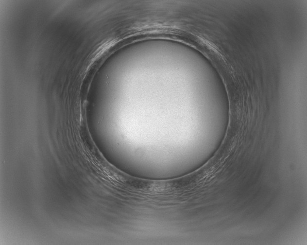 X0000052611267200507081837