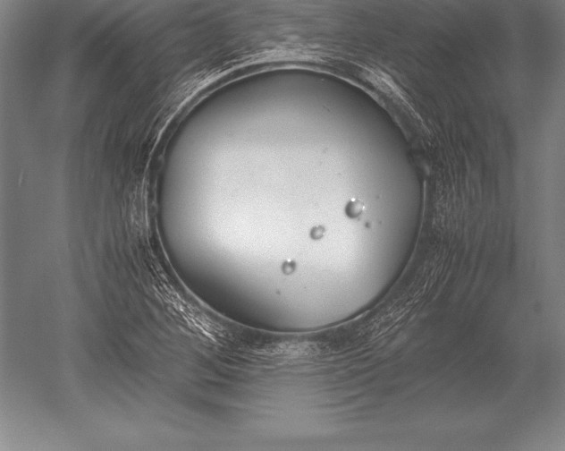 X0000052611268200507081837