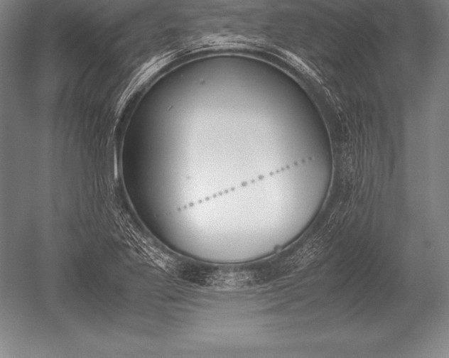 X0000052611269200507081837