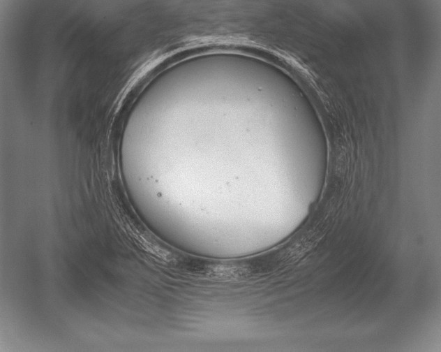 X0000052611271200507081837