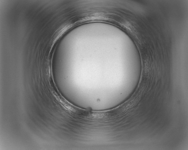 X0000052611274200507081837