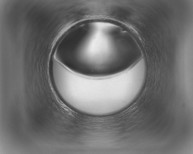 X0000052611279200507081837