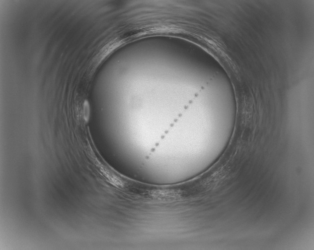 X0000052611281200507081837