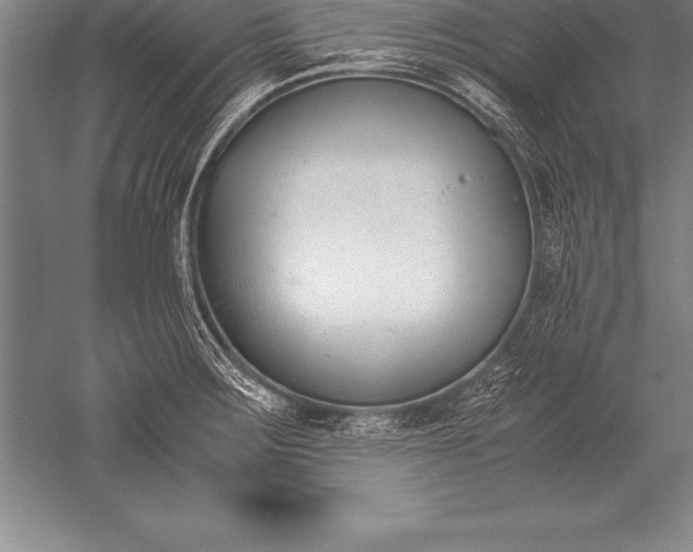 X0000052611283200507081837