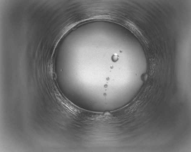 X0000052611284200507081837