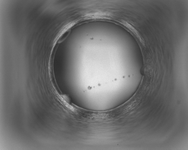 X0000052611285200507081837