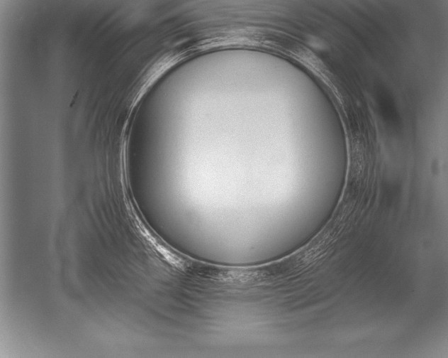 X0000052611290200507081837