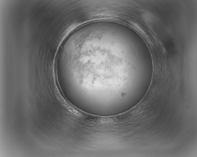 X0000052611291200507081837