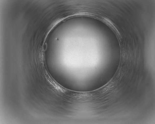 X0000052611292200507081837