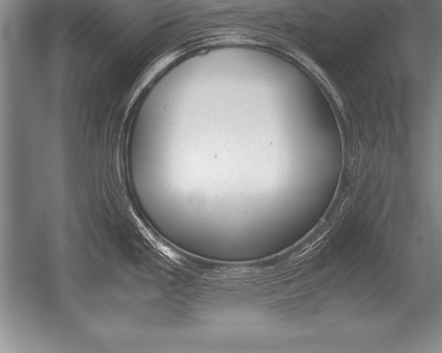 X0000052611293200507081836