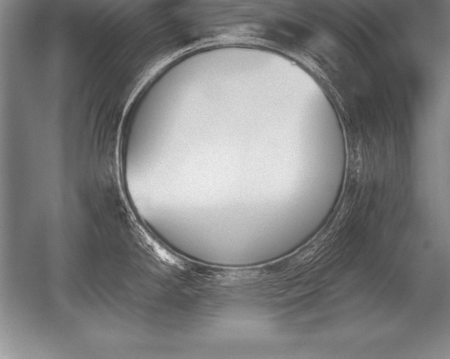 X0000052611294200507081836