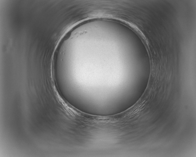 X0000052611295200507081836