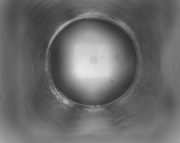 X0000052611296200507081836